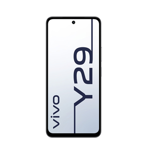 VIVO 4G V2434 Y29 256GB